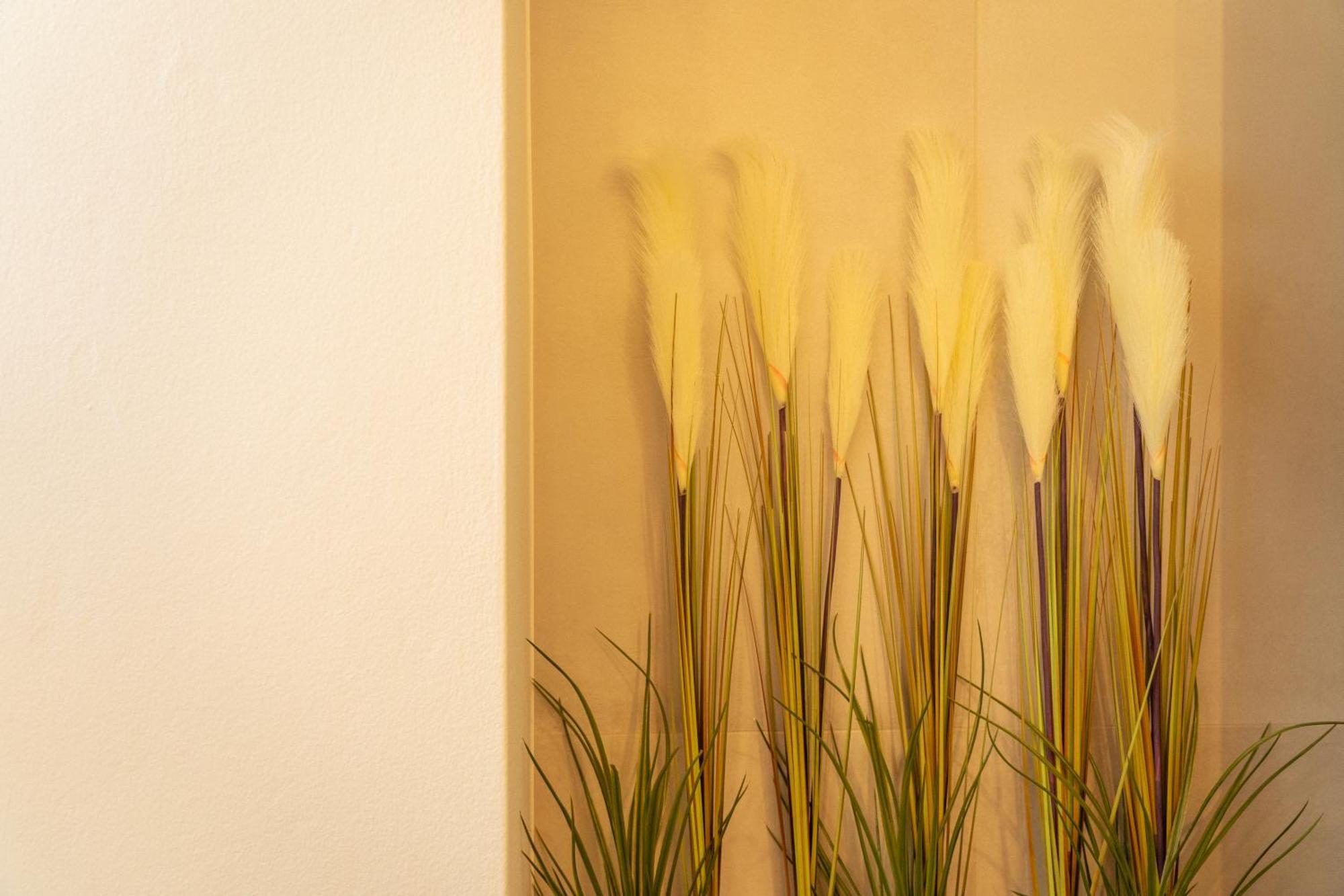 Johnny'S Suites Taormina Beach Bay Eksteriør billede